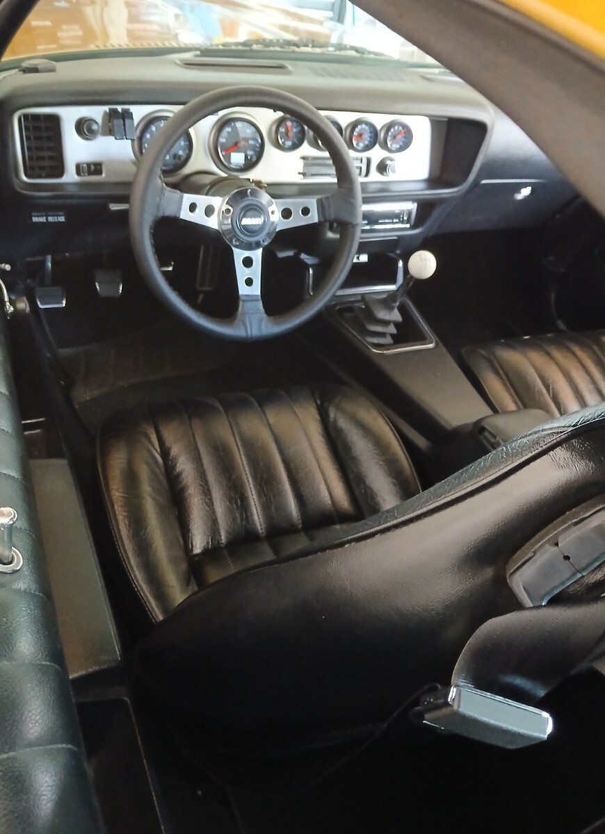 1974 Pontiac Firebird Formula 400 - photo 12