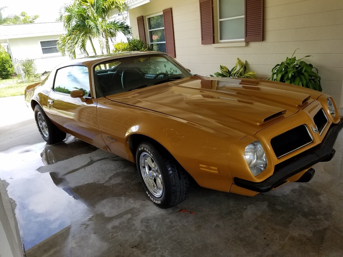 1974 Pontiac Firebird Formula 400 - photo 4