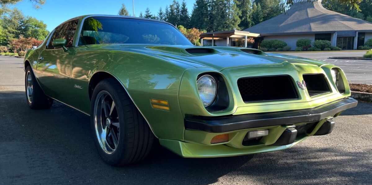 1974 Pontiac Firebird Esprit - photo 10