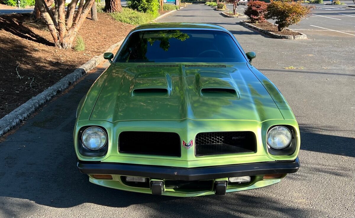 1974 Pontiac Firebird Esprit - photo 11