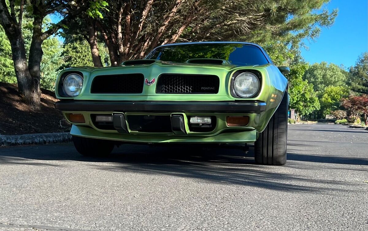 1974 Pontiac Firebird Esprit - photo 2