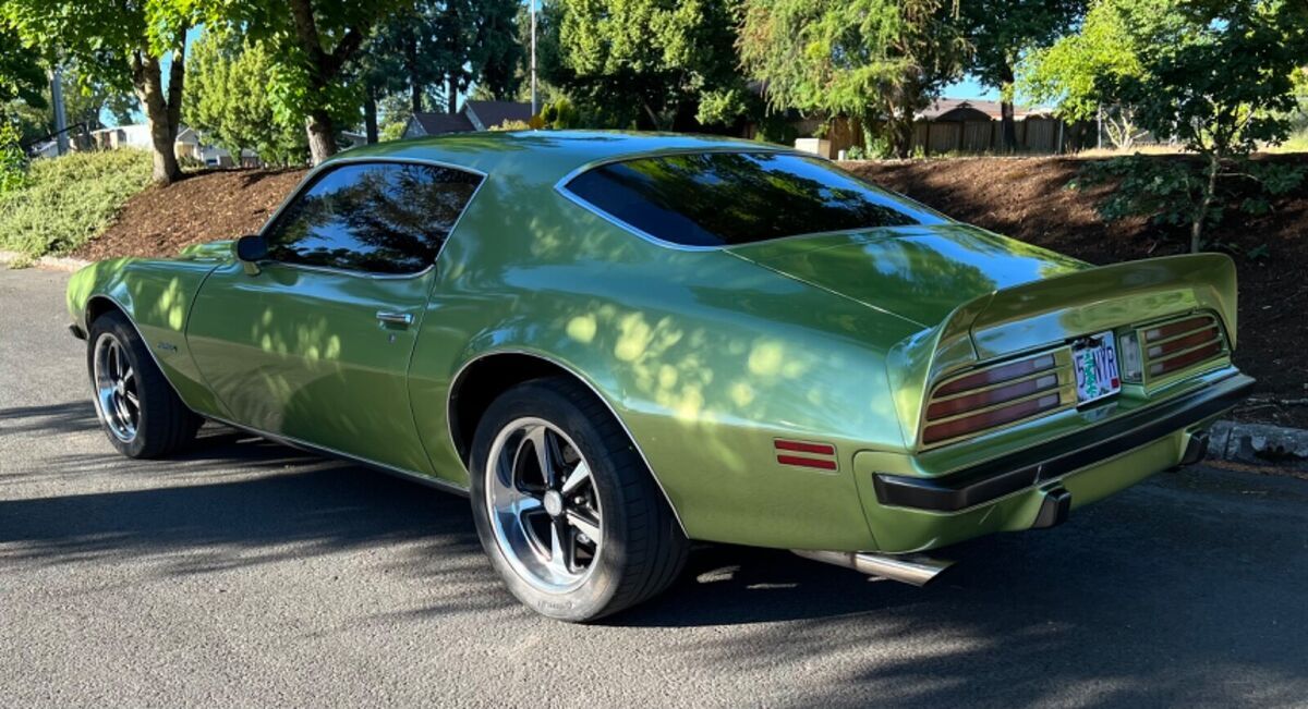 1974 Pontiac Firebird Esprit - photo 5