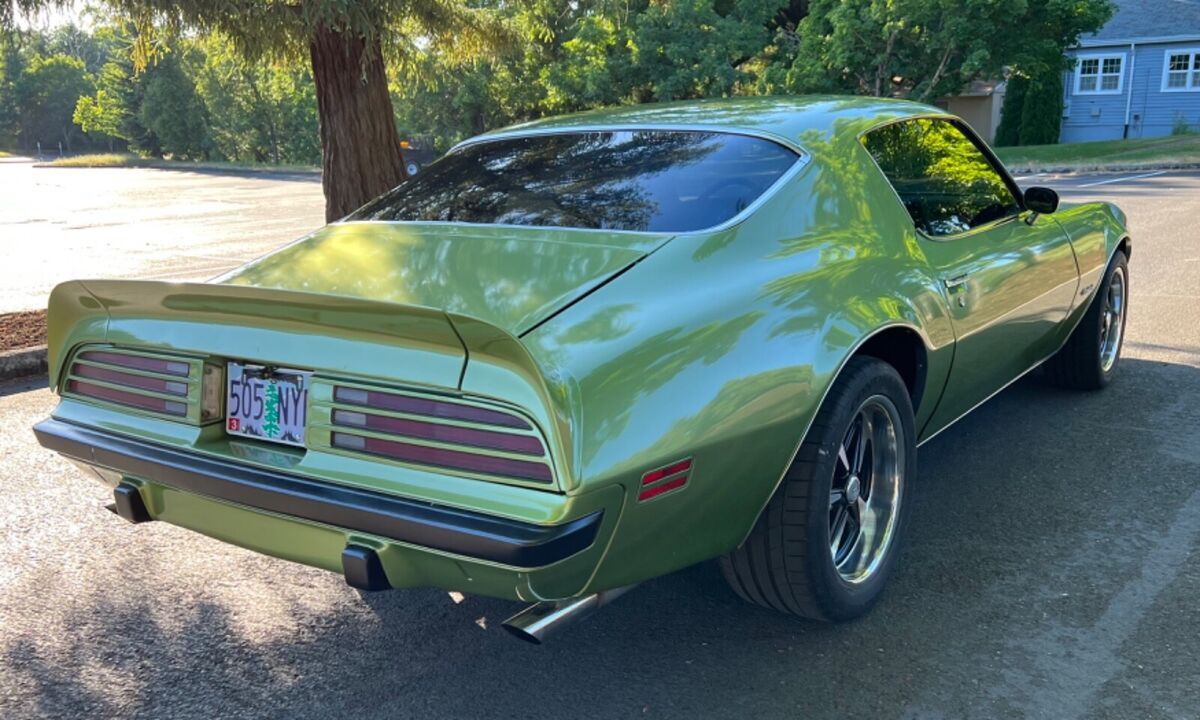 1974 Pontiac Firebird Esprit - photo 6