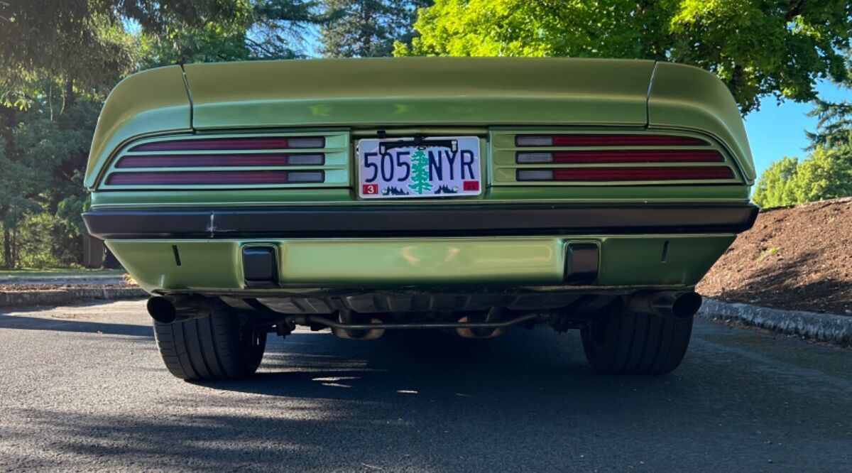 1974 Pontiac Firebird Esprit - photo 7