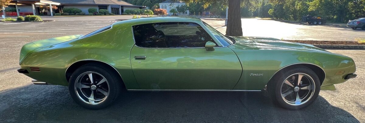 1974 Pontiac Firebird Esprit - photo 8