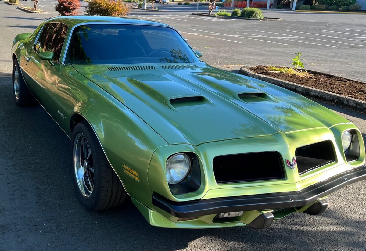 1974 Pontiac Firebird Esprit - photo 9