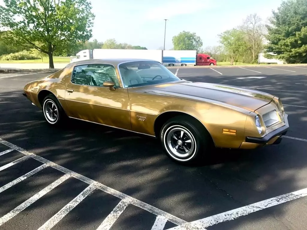 1974 Pontiac Firebird Esprit