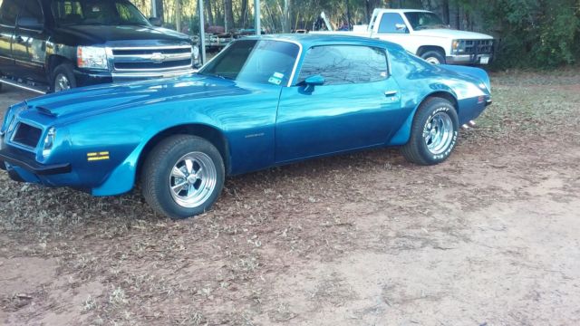 1974 Pontiac Firebird Firebird - photo 6