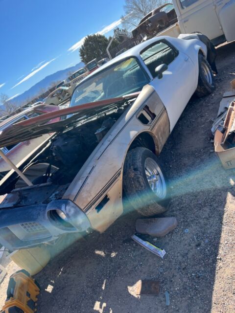 1974 Pontiac Firebird - photo 4