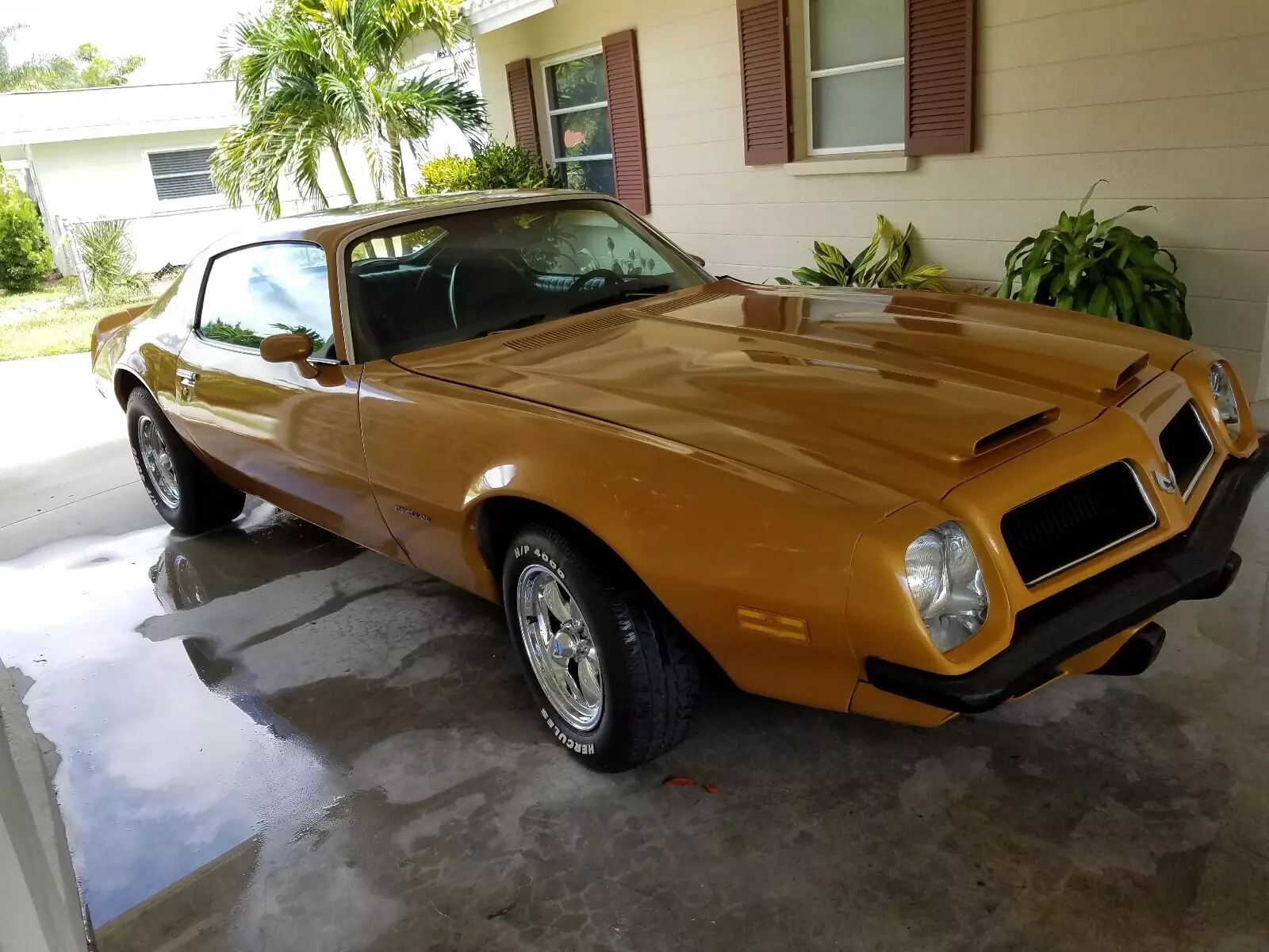 1974 Pontiac Firebird Formula 400 - photo 4