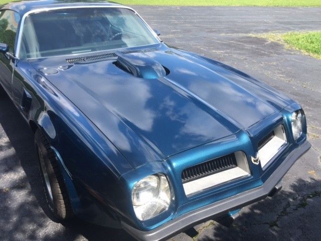 1974 Pontiac Firebird Trans Am - photo 2