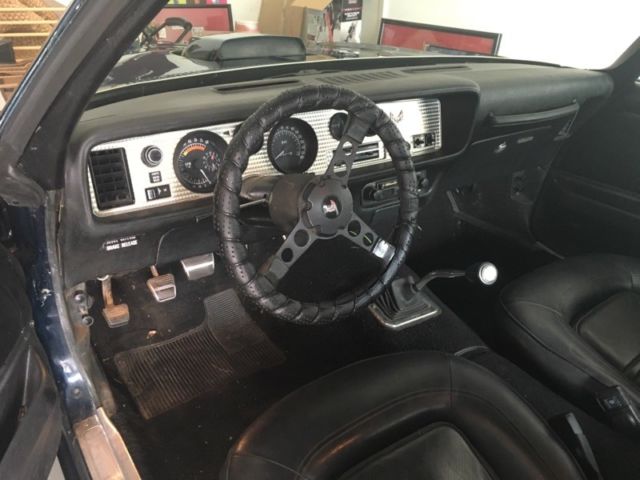 1974 Pontiac Firebird Trans Am - photo 8