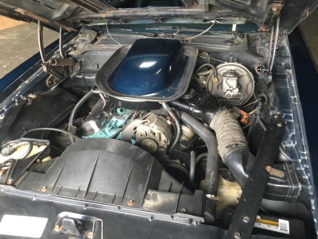 1974 Pontiac Firebird Trans Am - photo 9
