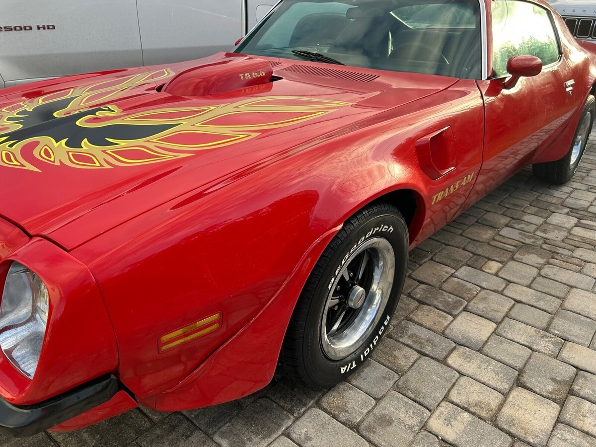 1974 Pontiac Firebird Trans Am - photo 11