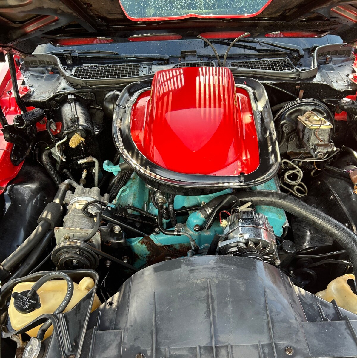 1974 Pontiac Firebird Trans Am - photo 7