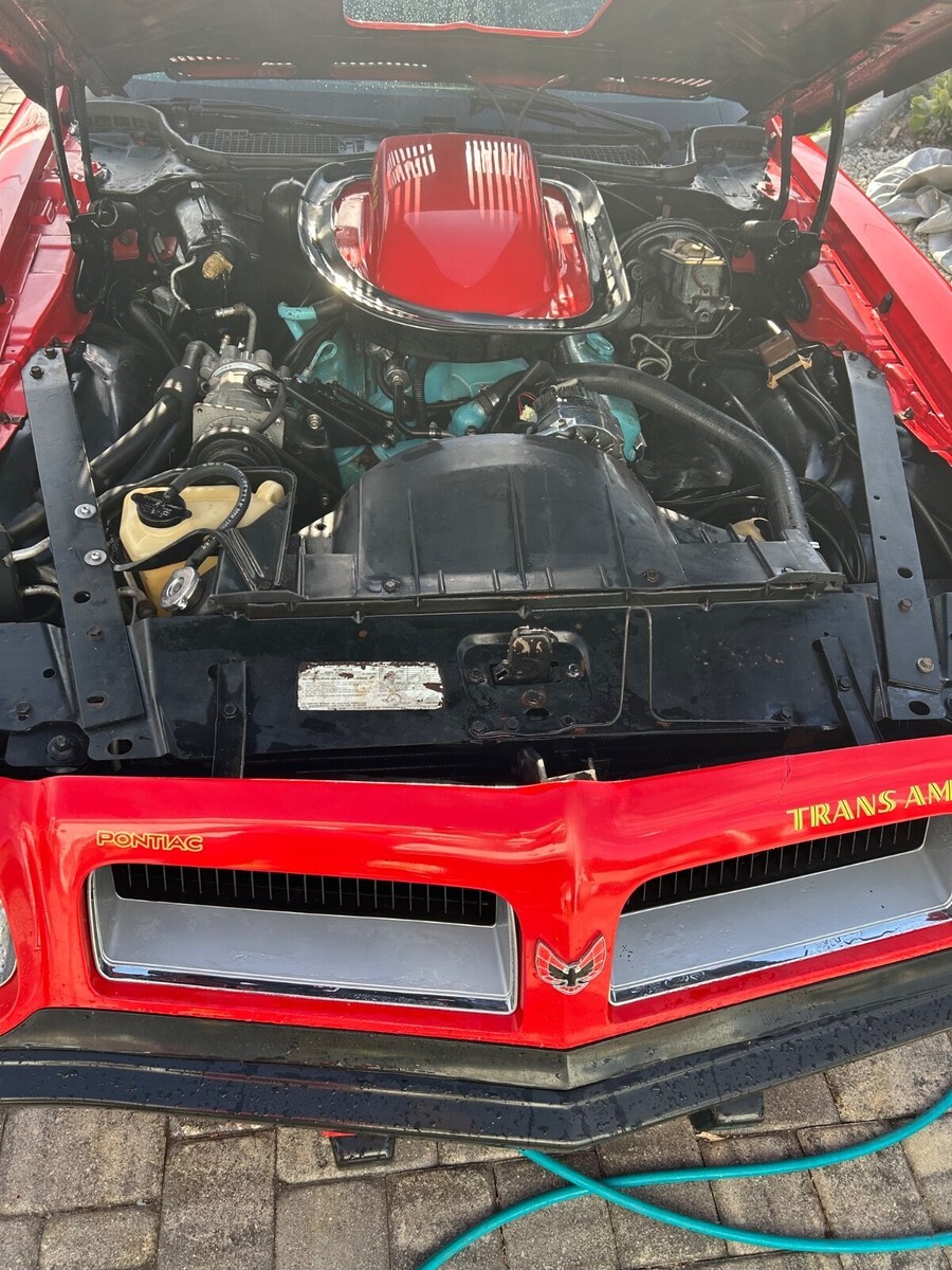 1974 Pontiac Firebird Trans Am - photo 8