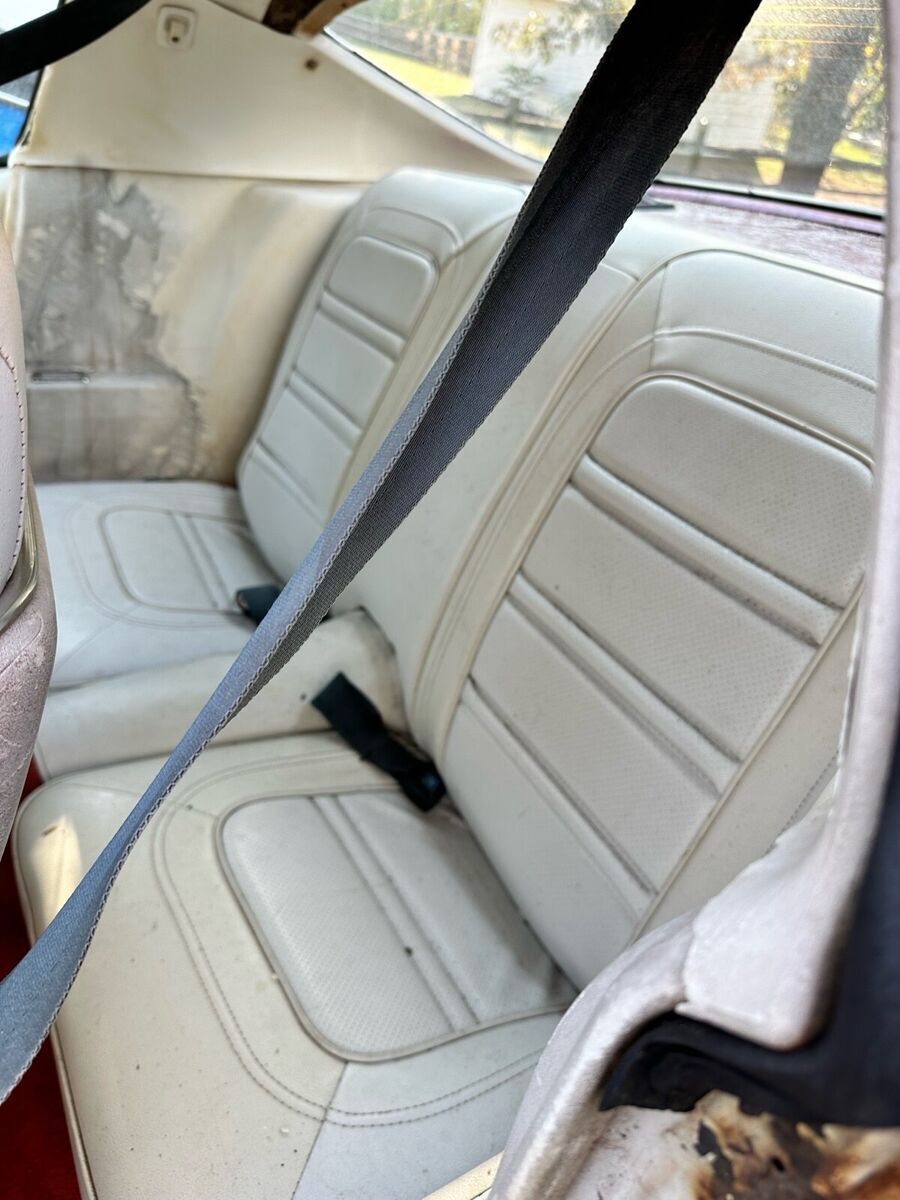 1974 Pontiac Firebird - photo 12