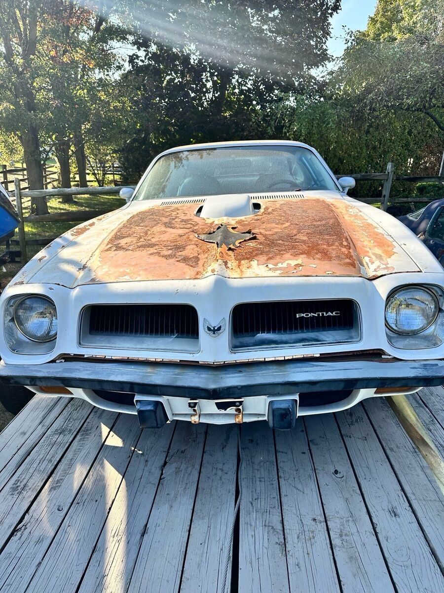 1974 Pontiac Firebird - photo 5