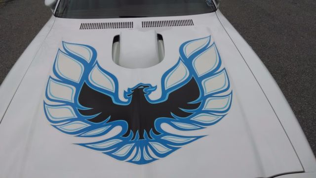 1974 Pontiac Trans Am - photo 4