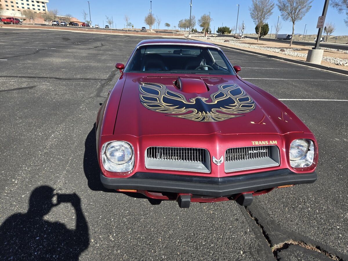 1974 Pontiac Firebird trans am - photo 11