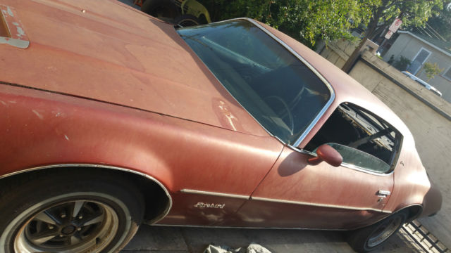 1974 Pontiac Firebird - photo 2