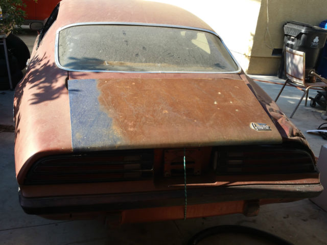 1974 Pontiac Firebird - photo 4