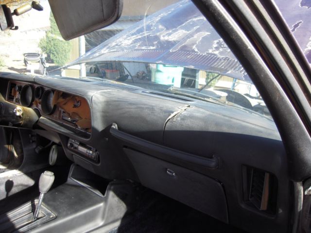1974 Pontiac Firebird Formula 400 - photo 13