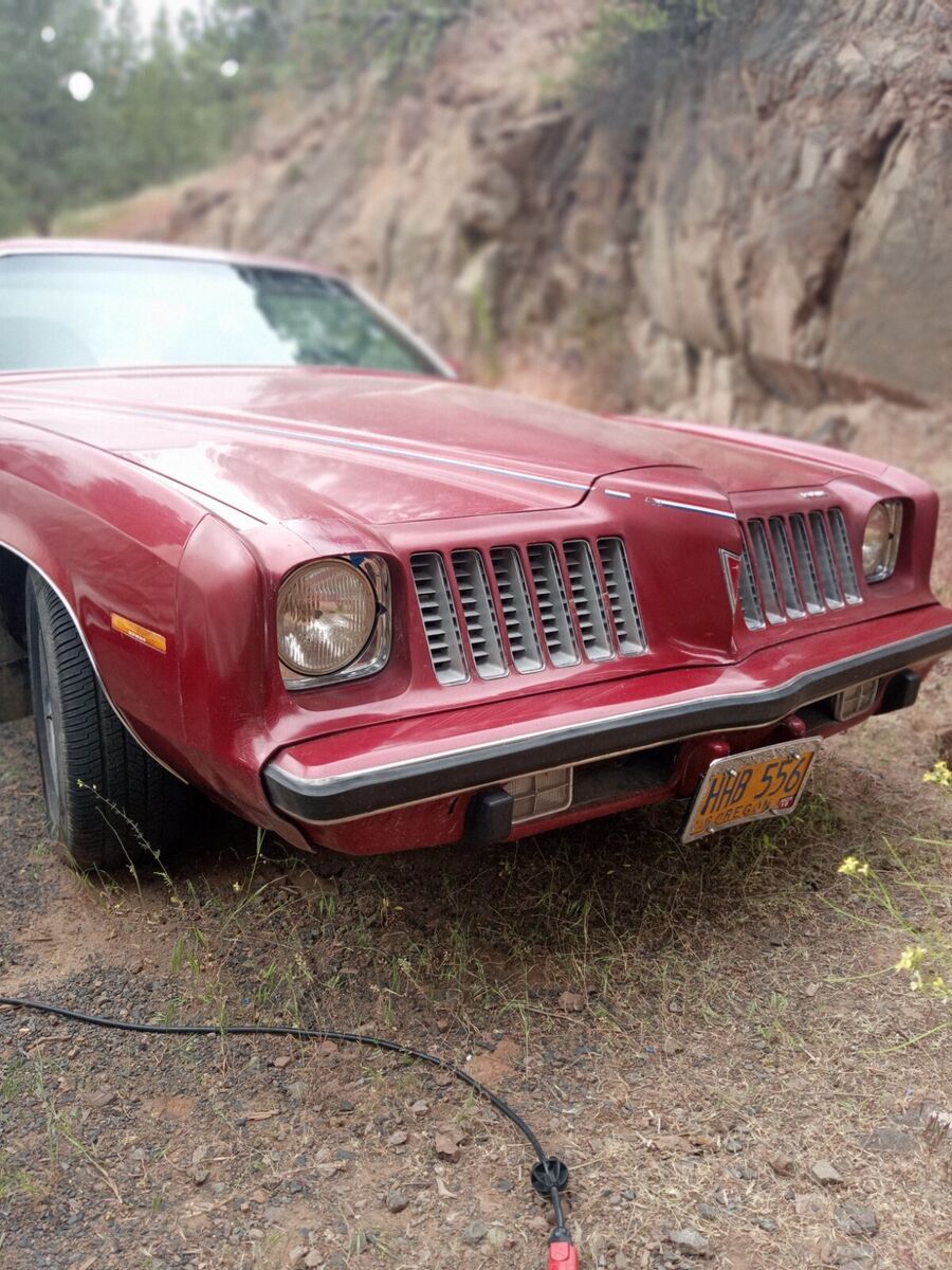 1974 Pontiac Grand Am - photo 3