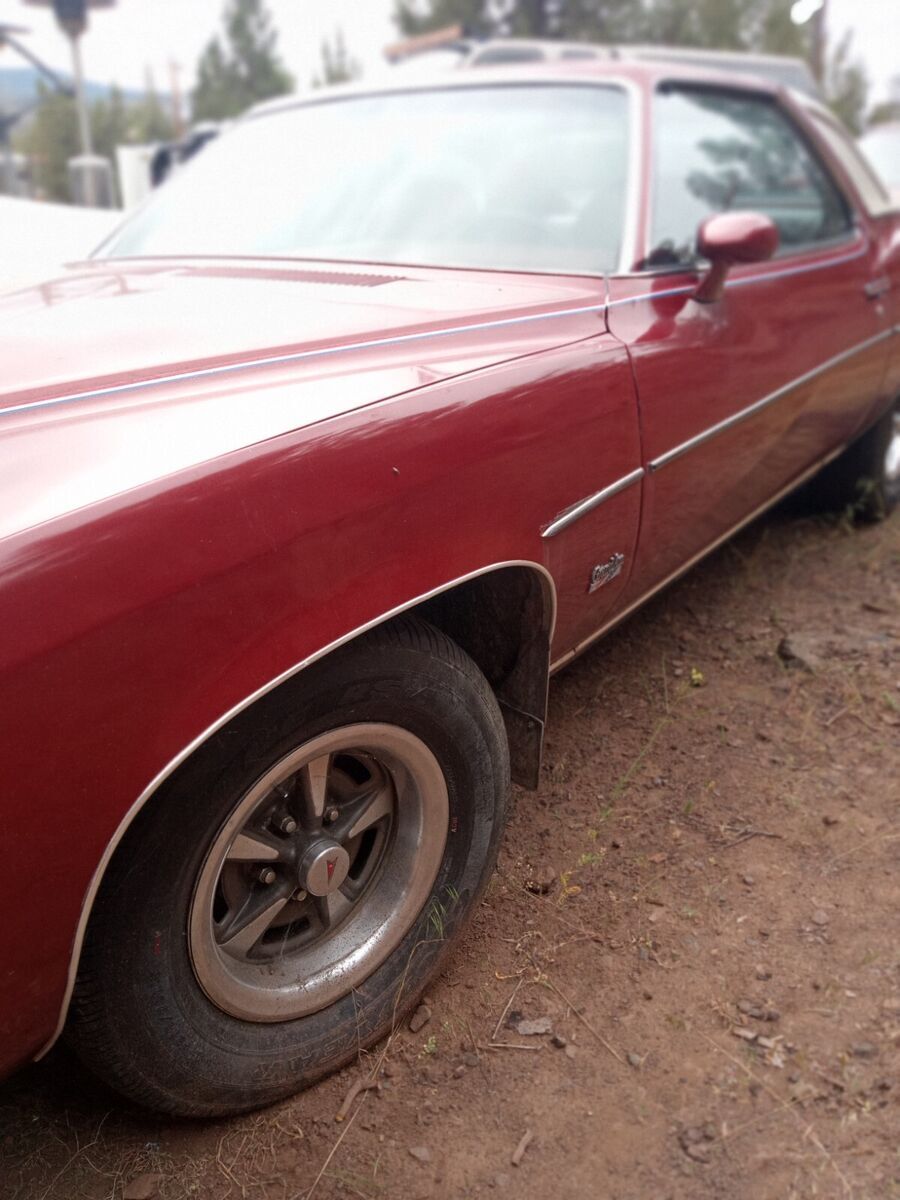 1974 Pontiac Grand Am - photo 8