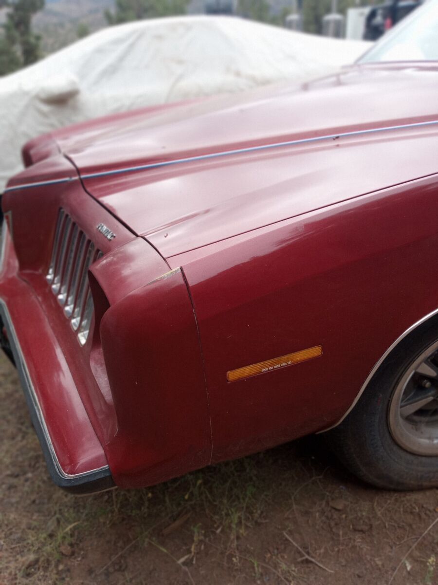 1974 Pontiac Grand Am - photo 9