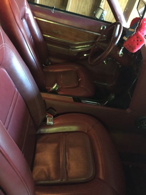1974 Pontiac Grand Prix Model J - photo 7