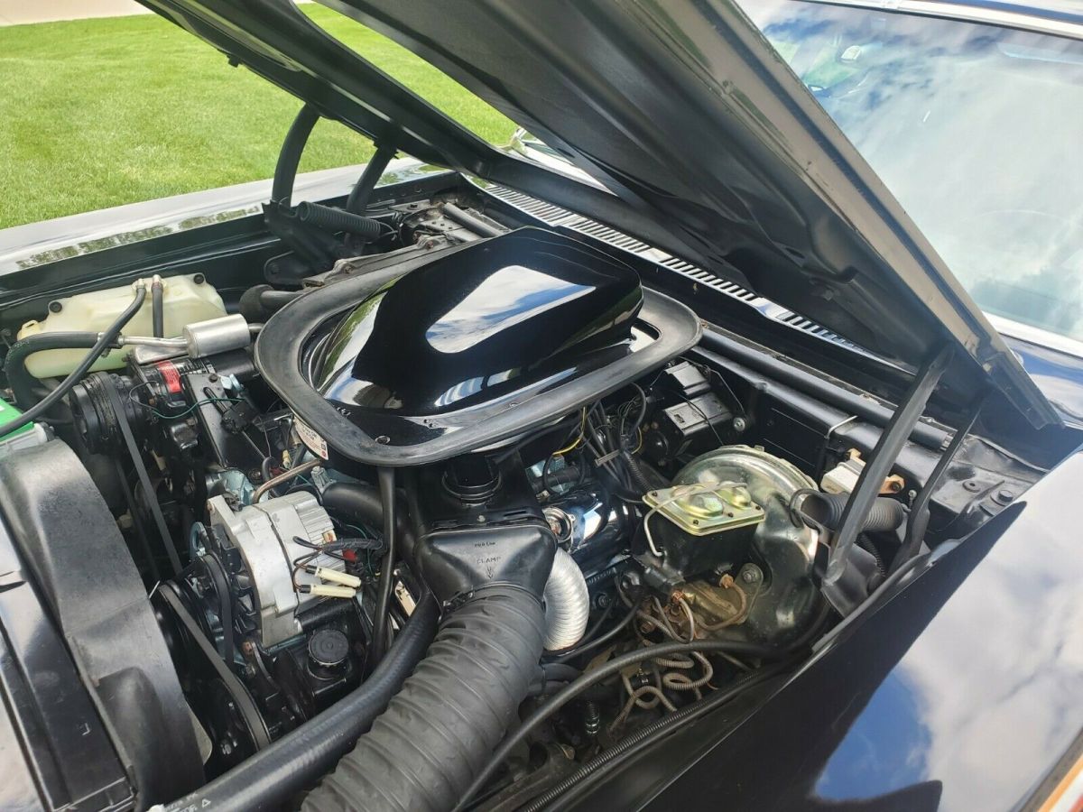 1974 Pontiac GTO - photo 9