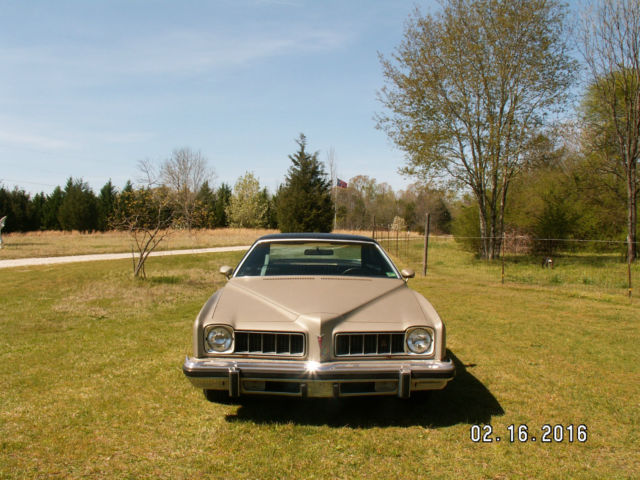 1974 Pontiac Le Mans Luxury - photo 3