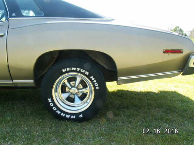 1974 Pontiac Le Mans Luxury - photo 7