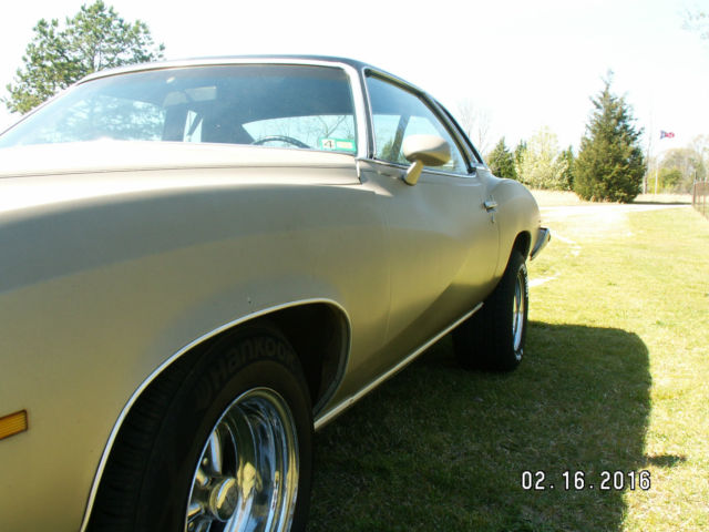 1974 Pontiac Le Mans Luxury - photo 9