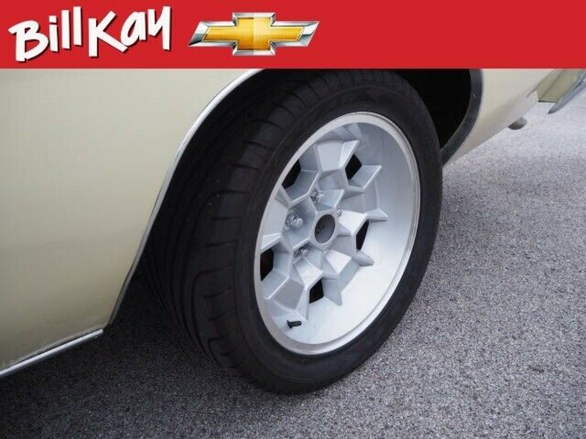 1974 Pontiac Le Mans - photo 10