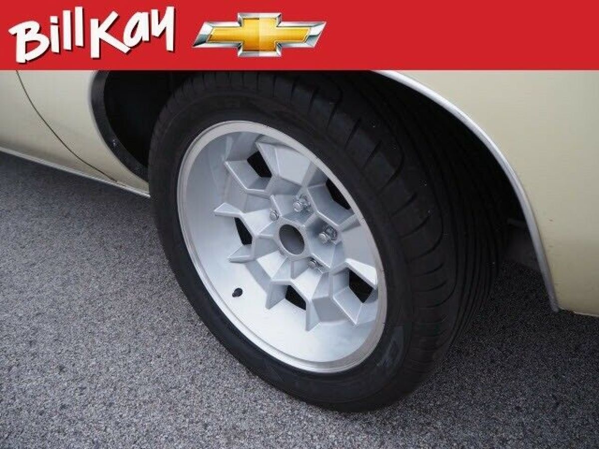 1974 Pontiac Le Mans - photo 8