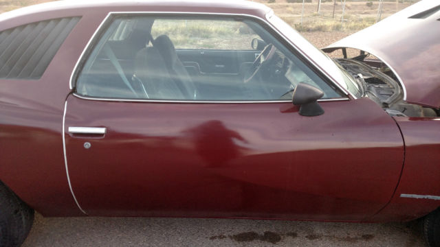 1974 Pontiac Le Mans - photo 11