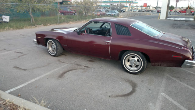 1974 Pontiac Le Mans - photo 3
