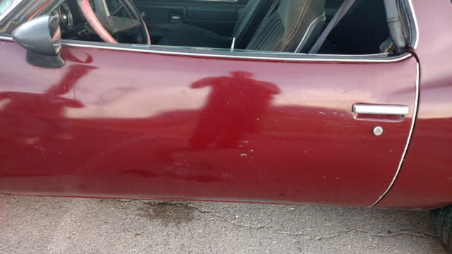 1974 Pontiac Le Mans - photo 6