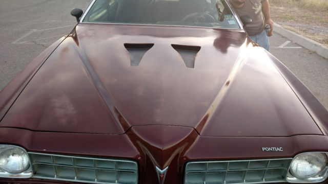 1974 Pontiac Le Mans - photo 8