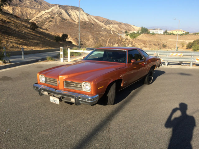 1974 Pontiac Le Mans - photo 2