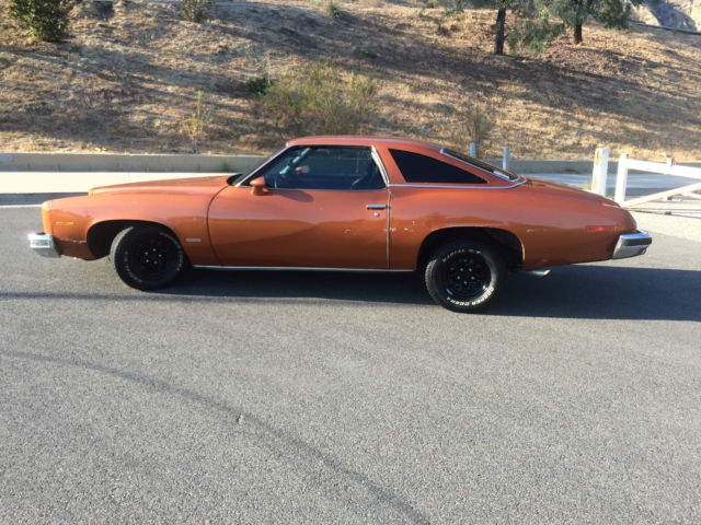 1974 Pontiac Le Mans - photo 4