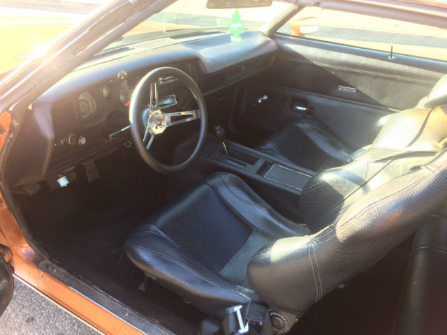 1974 Pontiac Le Mans - photo 5