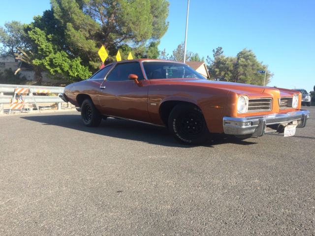 1974 Pontiac Le Mans - photo 6