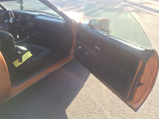 1974 Pontiac Le Mans - photo 8
