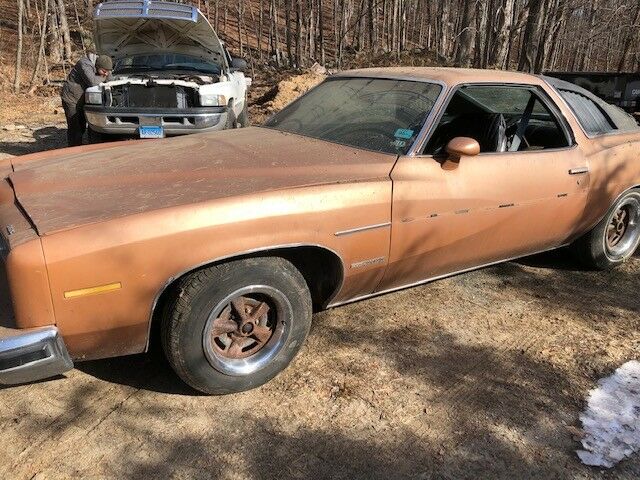 1974 Pontiac Le Mans sport coupe - photo 7