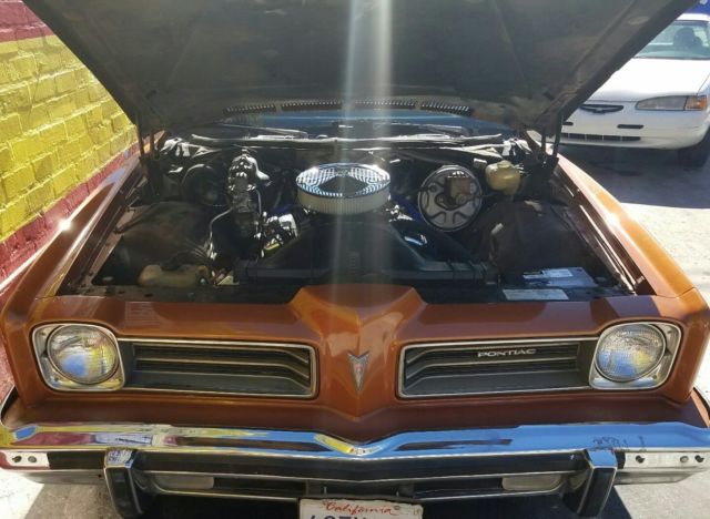 1974 Pontiac Pontiac LeMans - photo 3