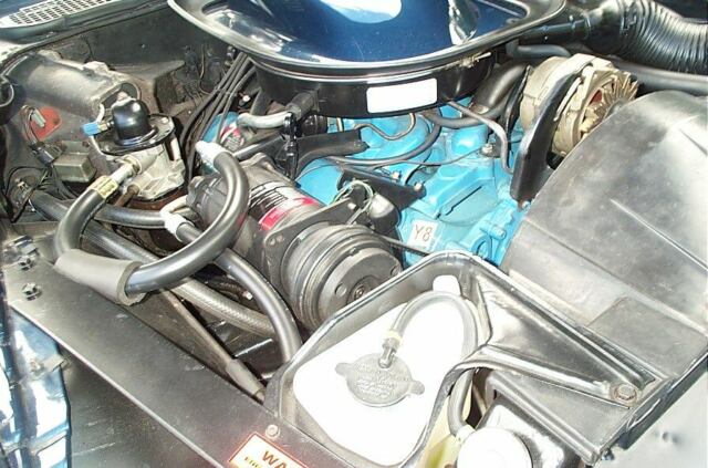 1974 Pontiac Trans Am - photo 13