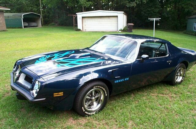 1974 Pontiac Trans Am - photo 2